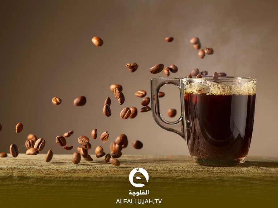 القهوة والخرف.. دراسة تربط الكافيين بانخفاض خطر الإصابة بنسبة 18%